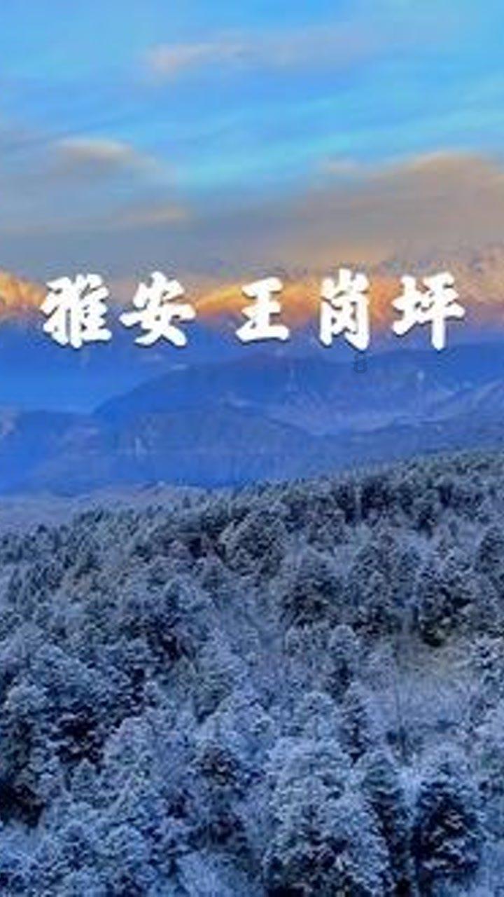 除夕创意海报