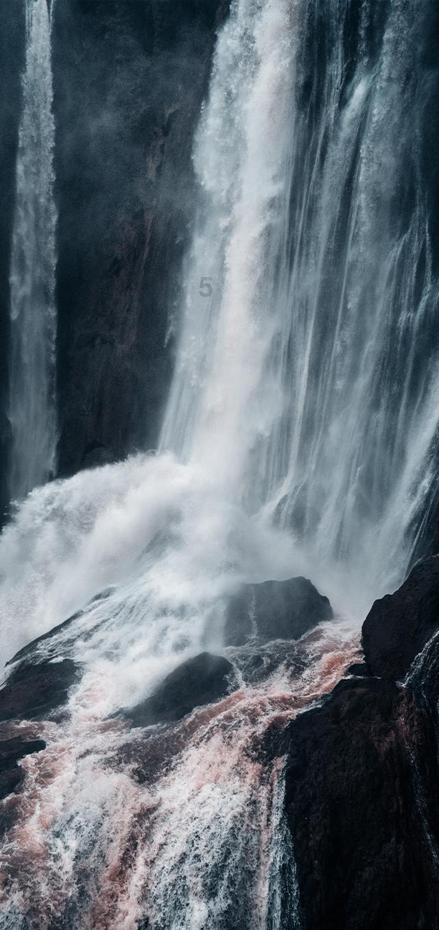 春雨直播app